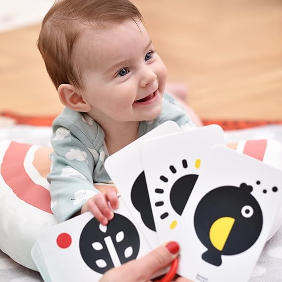 Flash Cards for 0-6 month old babies